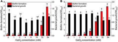 Calcium-Mediated Regulation Promotes the Biofilm Formation of Two Novel Pyridine-Degrading Bacteria